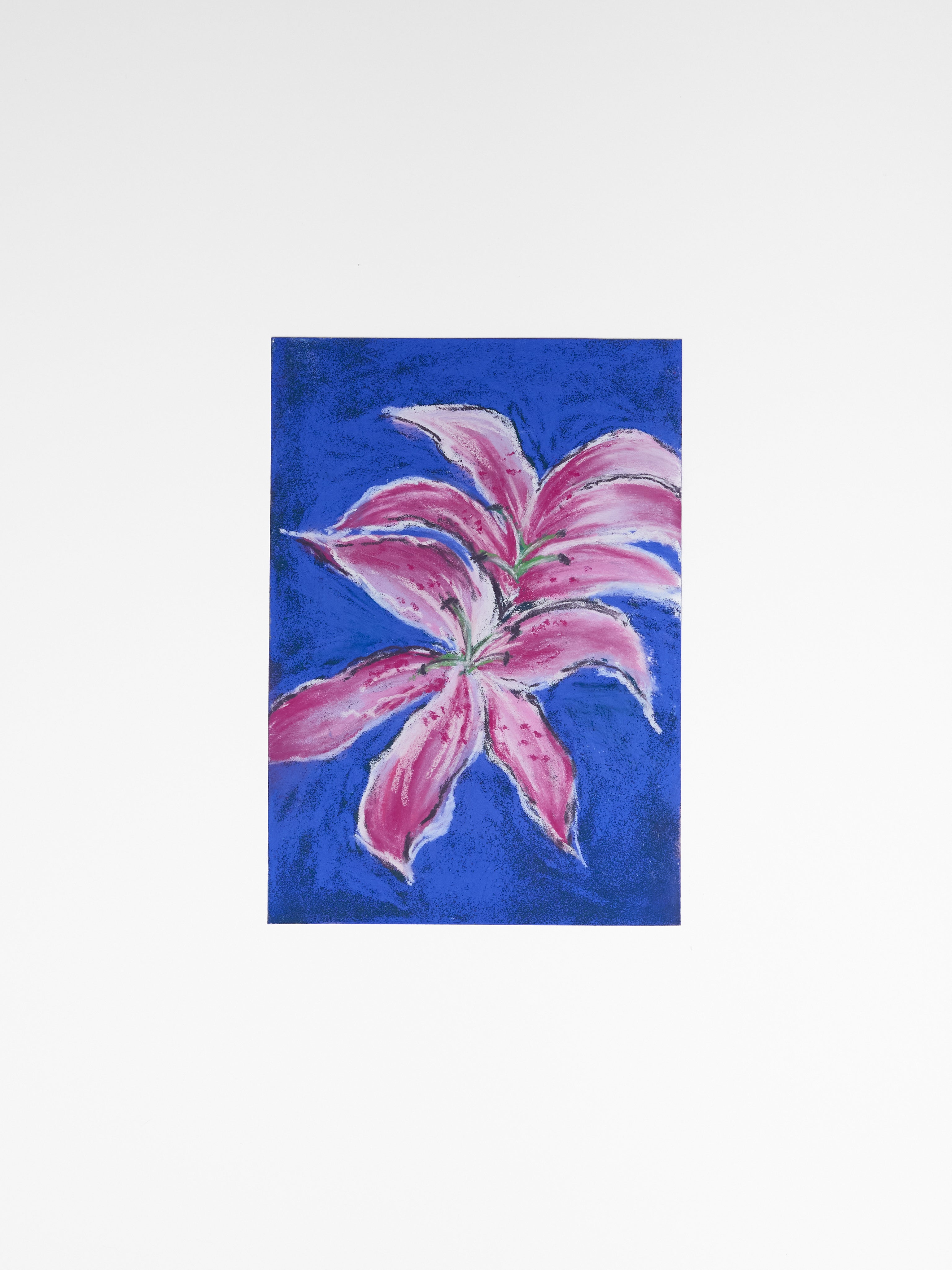 Petals in Motion, Oriental Lillies-1