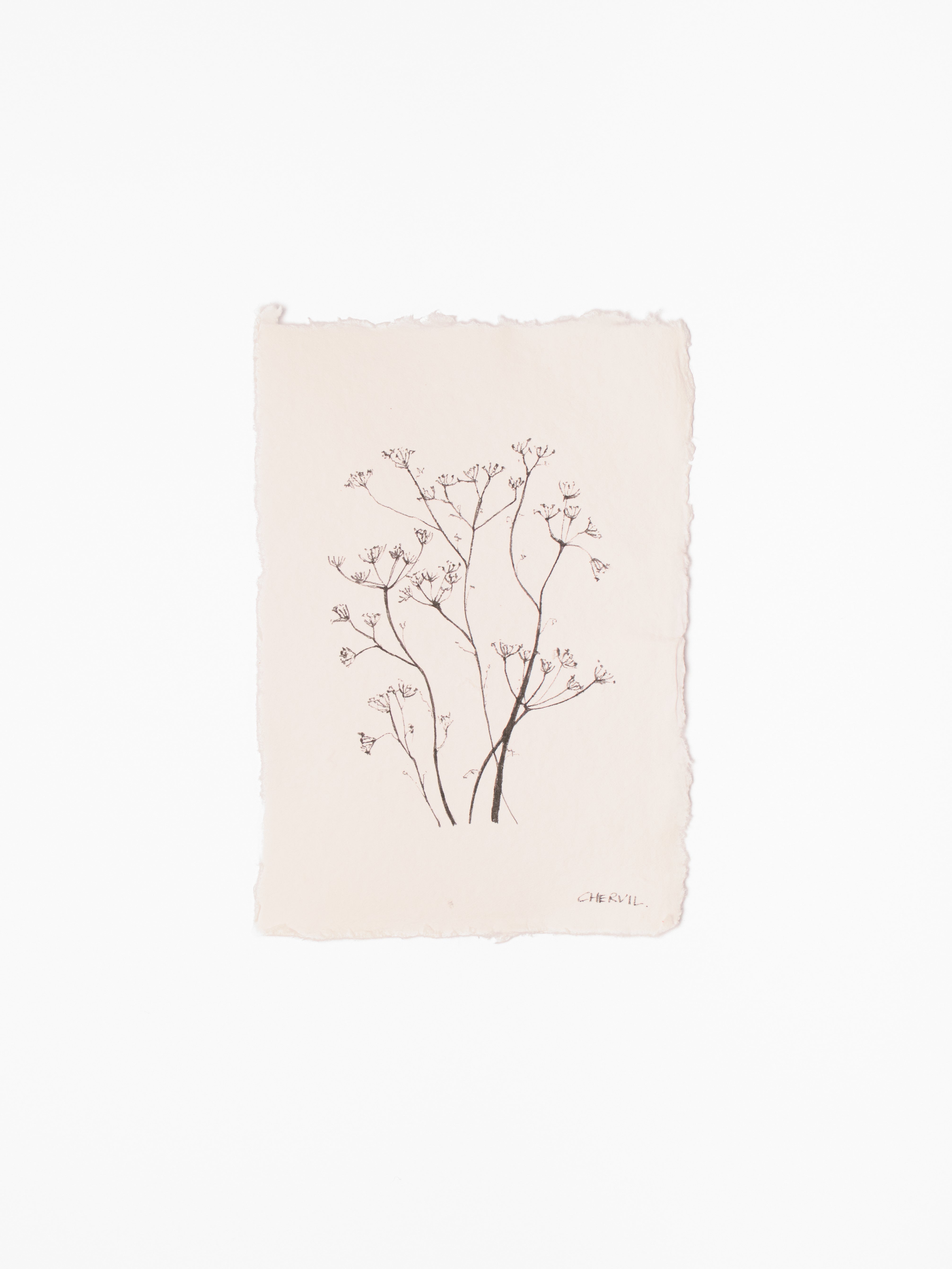 Soft Stems-1