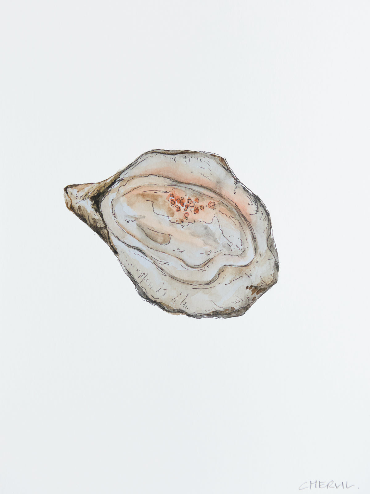 Oyster Hour - thumbnail 3