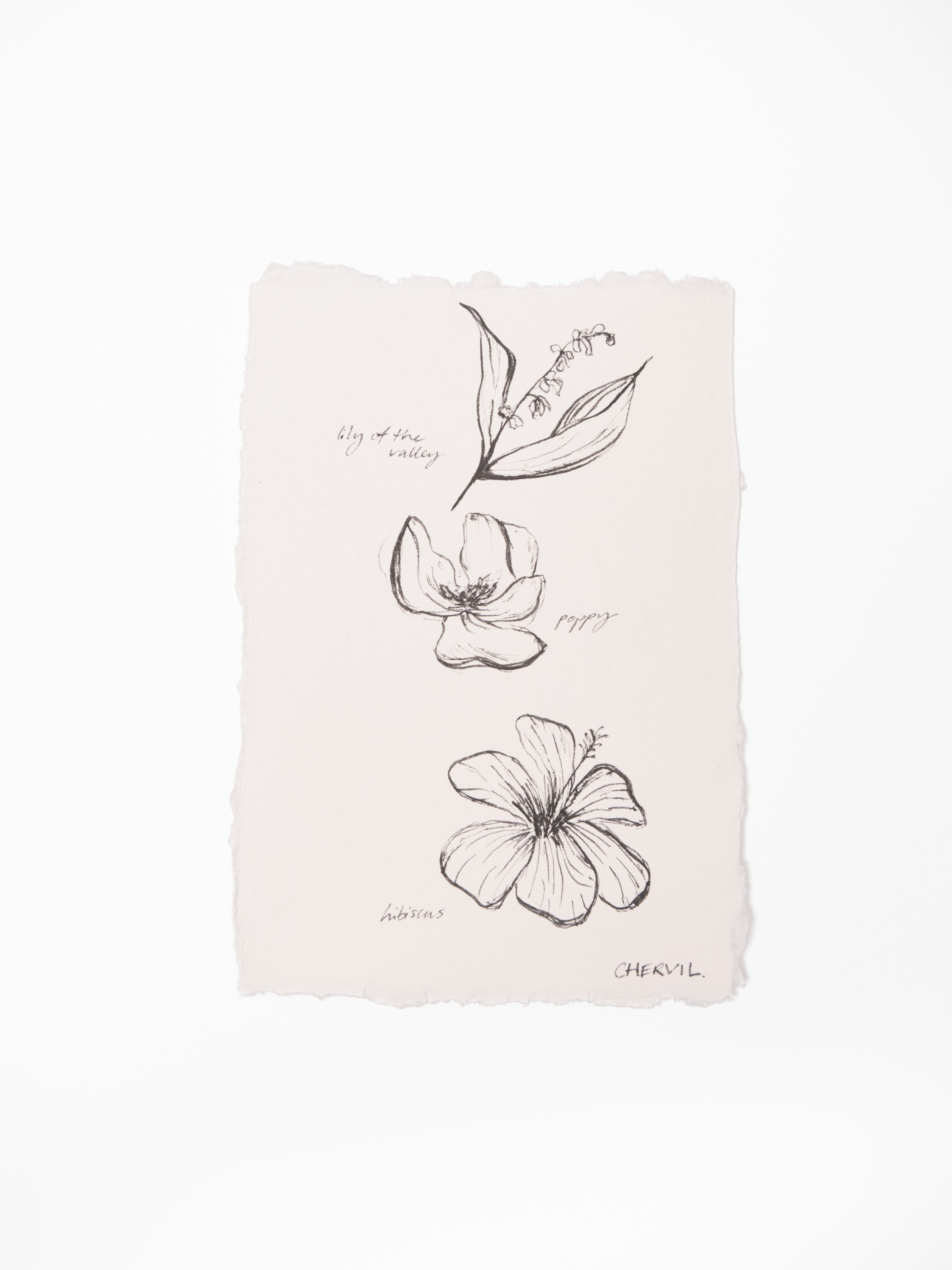 Spring Flowers