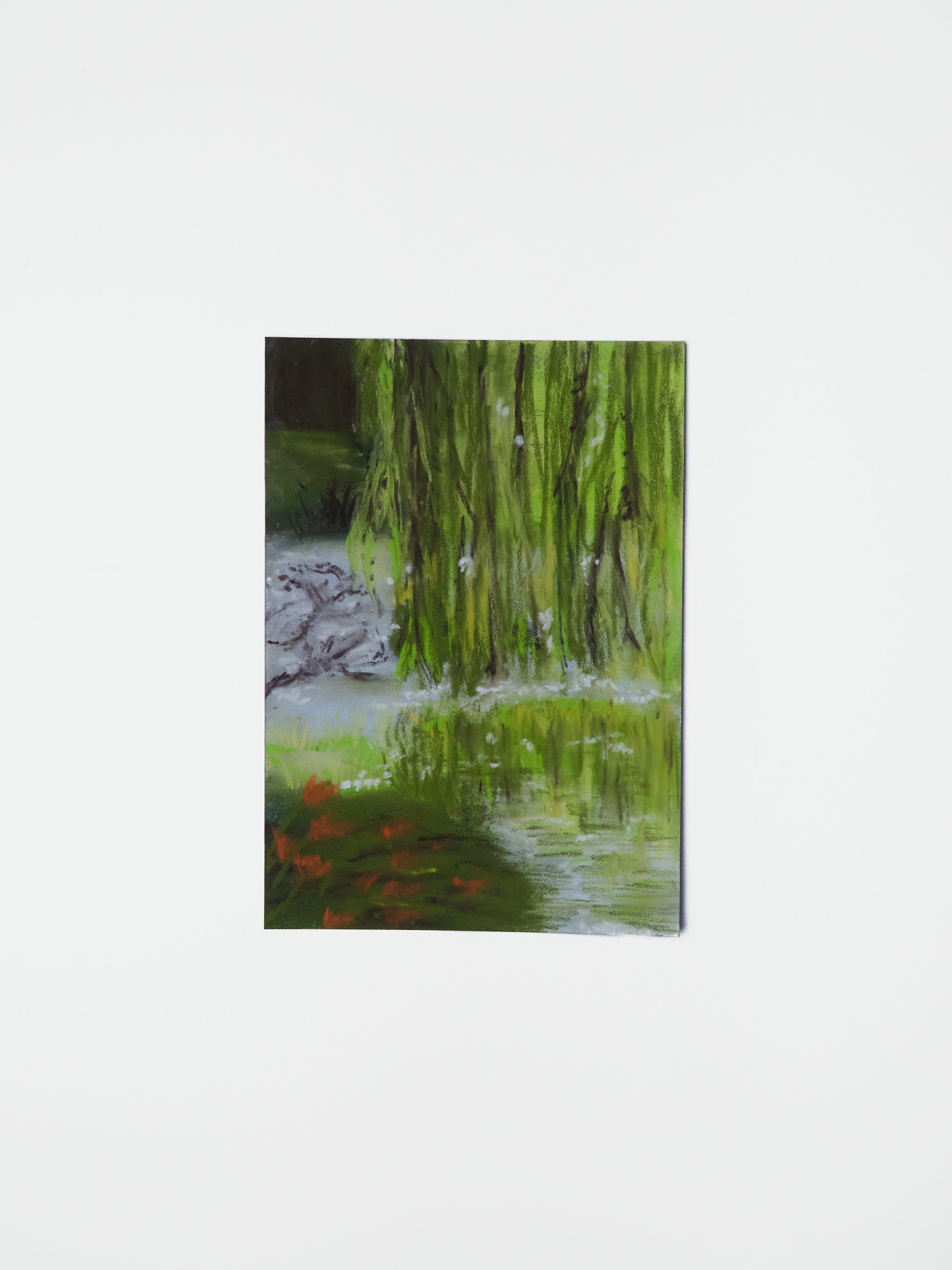 Weeping Tree Reflections