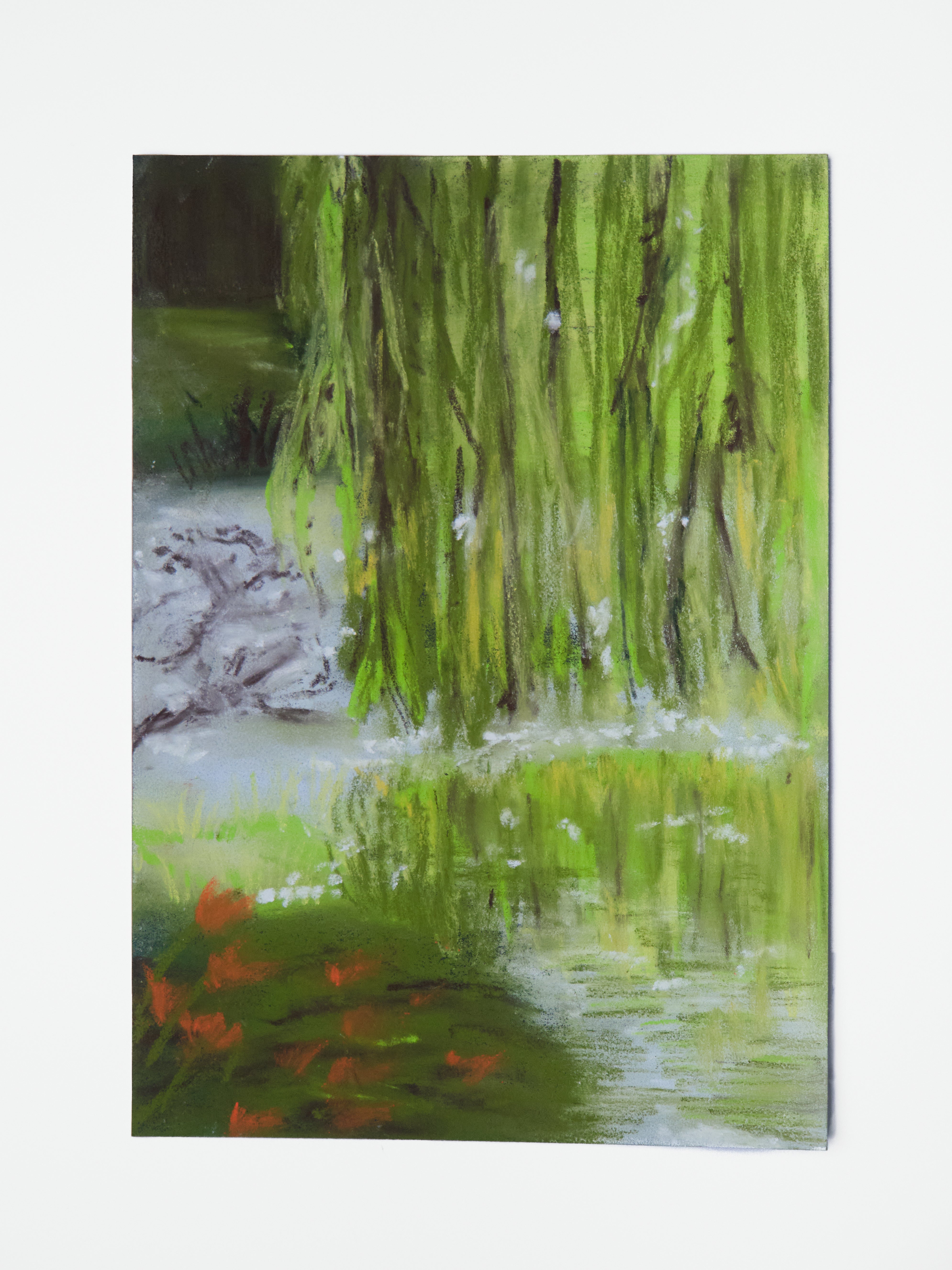 Weeping Tree Reflections