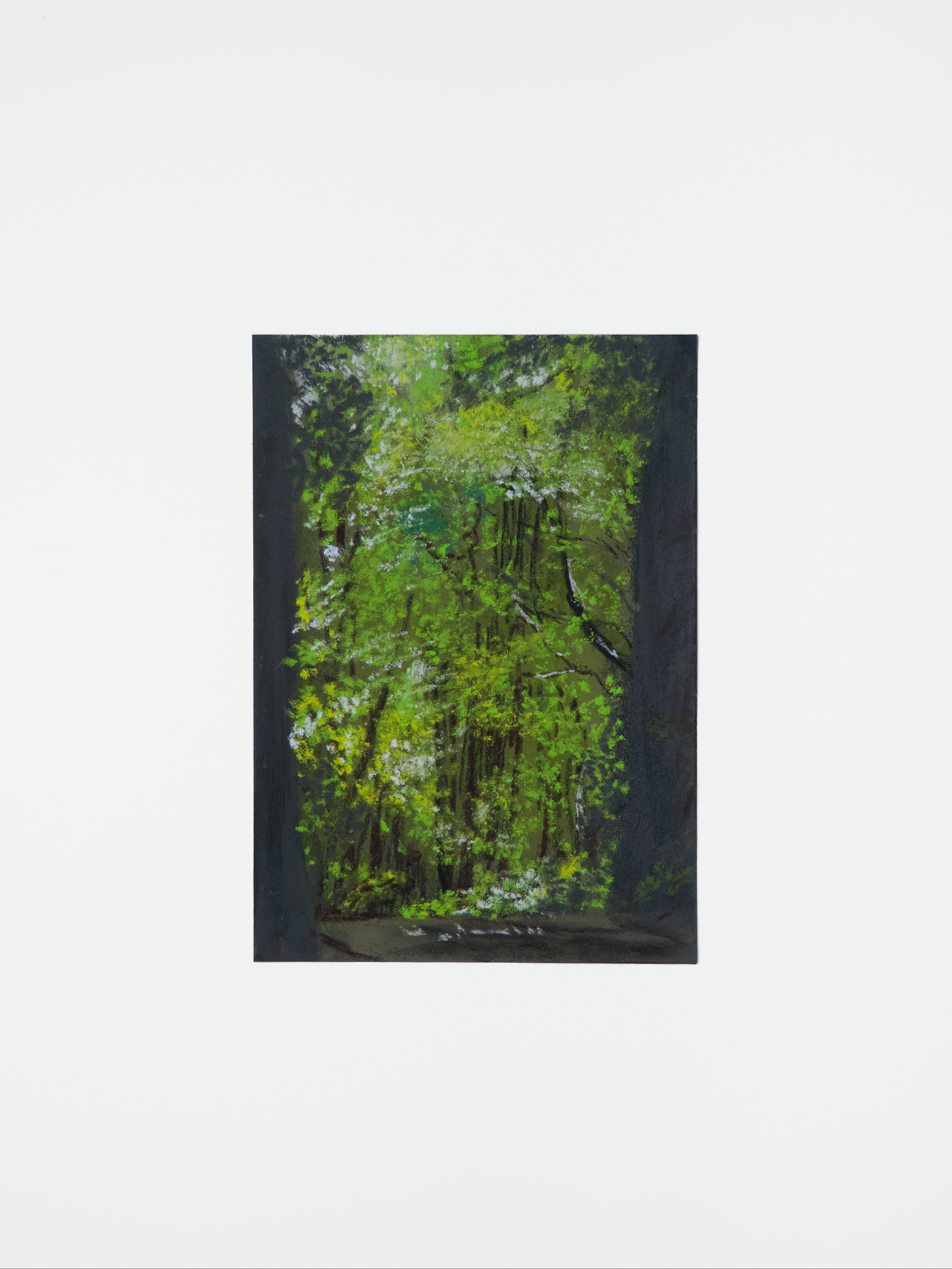 Whispers of the Forest - Kyoto