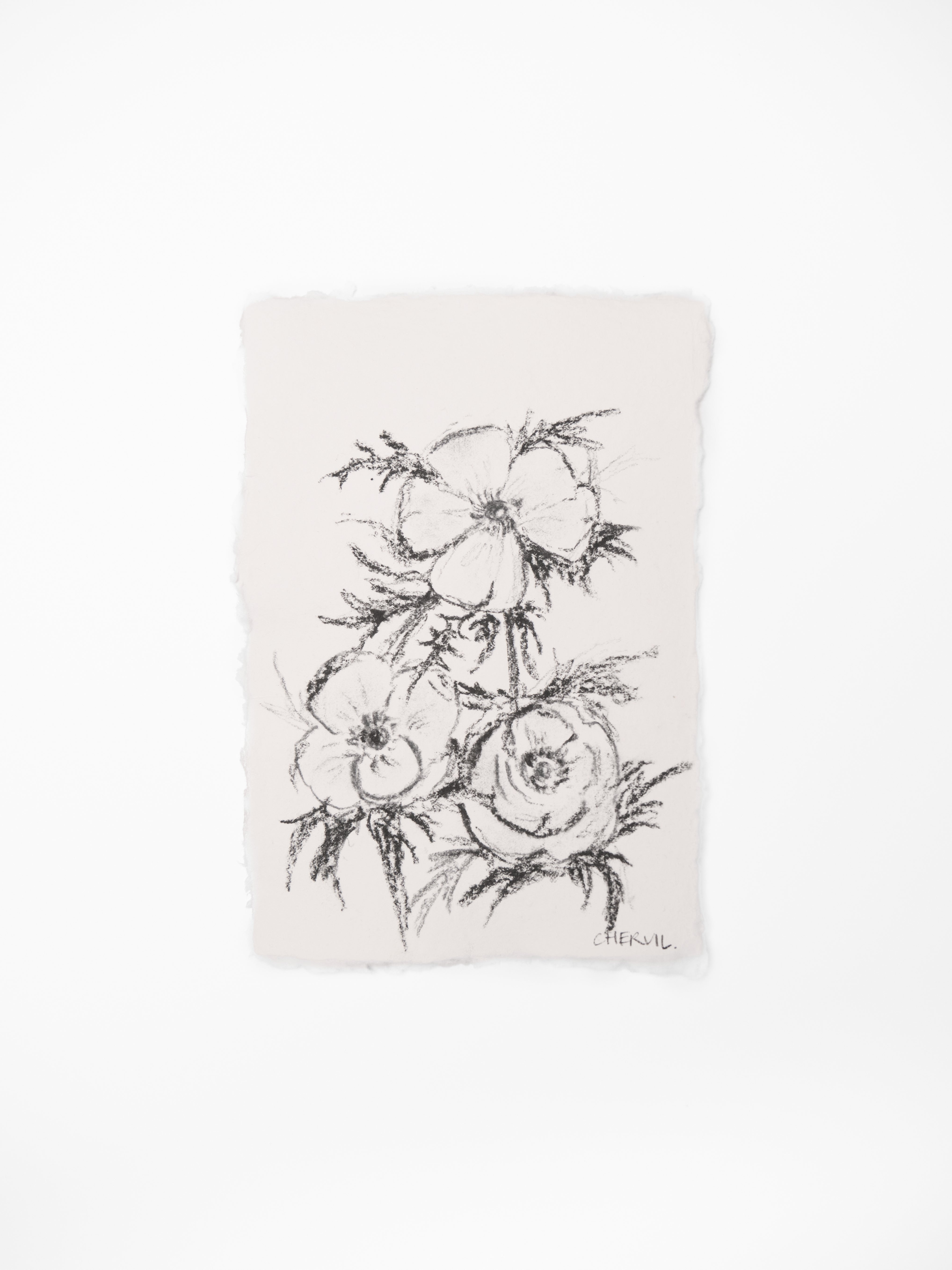 Wild Petals - Camelias